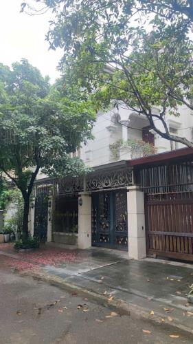 Bán gấp lô đất TMDV Kim Sơn , Đông Triều , Quảng Ninh - 1