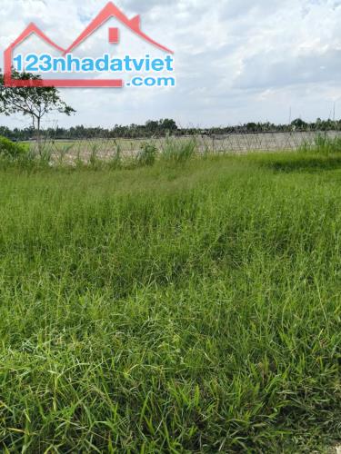 Rẻ! Đất 2.5tr/m² 0.6Ha – Xuân Thới Thượng 2 HM - 1