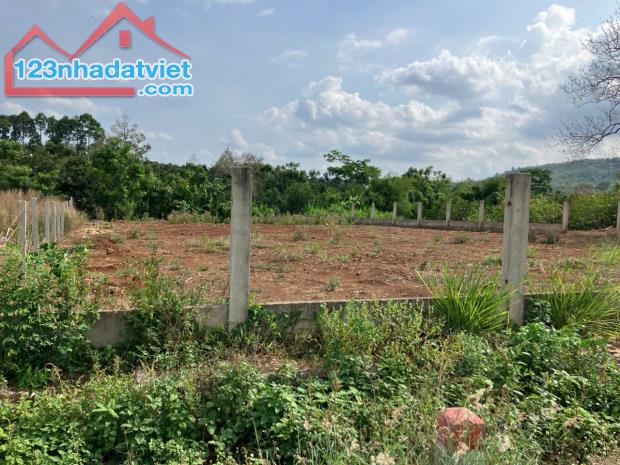 Chỉ 2 tỷ sở hữu Hơn 1,000 m2 đất full hồng, Với gần 40m mặt tiền đường chính Long Giao BB - 1