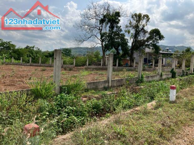 Chỉ 2 tỷ sở hữu Hơn 1,000 m2 đất full hồng, Với gần 40m mặt tiền đường chính Long Giao BB - 2