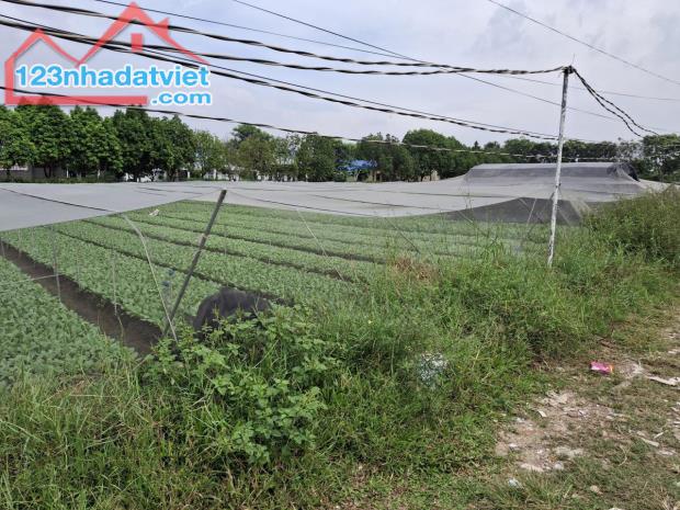 Rẻ! Đất 2.9tr/m² 0.5Ha – Xuân Thới Thượng 2 HM - 1