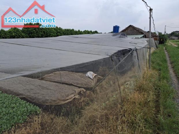 Rẻ! Đất 2.9tr/m² 0.5Ha – Xuân Thới Thượng 2 HM - 2