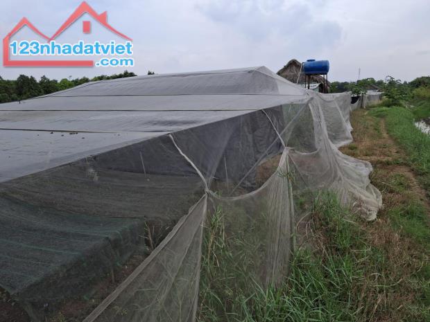 Rẻ! Đất 2.9tr/m² 0.5Ha – Xuân Thới Thượng 2 HM - 3