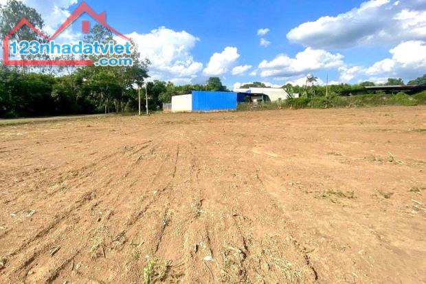 3.450M2 LÔ GÓC ĐƯỜNG NHỰA SỐ 7, 2 MẶT TIỀN, GẦN BECAMEX – CHƠN THÀNH, SHR CHÍNH CHỦ 890TR