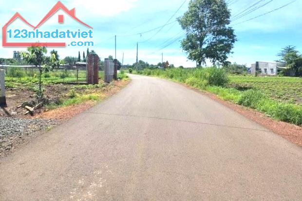 3.450M2 LÔ GÓC ĐƯỜNG NHỰA SỐ 7, 2 MẶT TIỀN, GẦN BECAMEX – CHƠN THÀNH, SHR CHÍNH CHỦ 890TR - 1