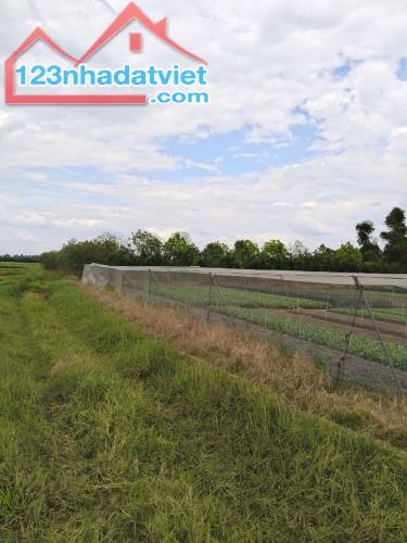 Rẻ! Đất 2.5tr/m² 0.25Ha – Xuân Thới Thượng 2 HM - 1