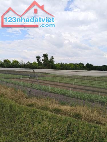 Rẻ! Đất 2.5tr/m² 0.25Ha – Xuân Thới Thượng 2 HM - 2