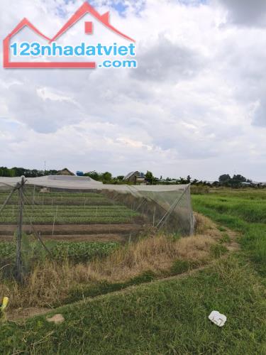 Rẻ! Đất 2.5tr/m² 0.25Ha – Xuân Thới Thượng 2 HM - 3