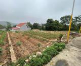 ĐẤT CHÍNH CHỦ - LÃI NGAY KHI MUA - Xã Châu Phong, TX Quế Võ, Tỉnh Bắc Ninh