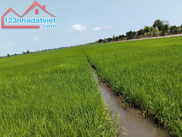 Bán miếng đất Mặt tiền tỉnh lộ 856. Cách chợ Mỹ Phú Tp. Cao Lãnh 8-9km. - 1