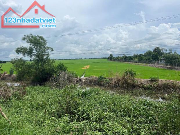 Bán miếng đất Mặt tiền tỉnh lộ 856. Cách chợ Mỹ Phú Tp. Cao Lãnh 8-9km. - 2