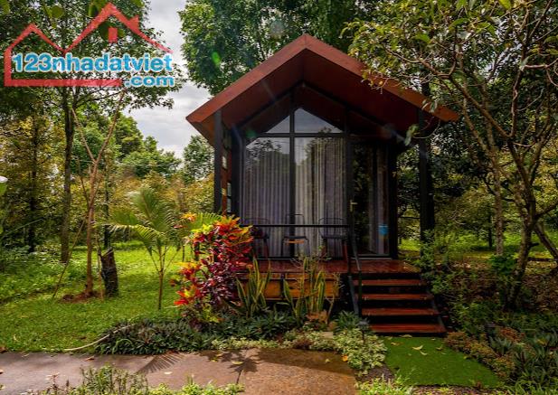BÁN GẤP NHỮNG MẢNH ĐẤT VƯỜN + THỔ CƯ GIÁ NGỘP TẠI XÃ HÀNG GÒN CHO QUÝ KHÁCH LỰA CHỌN - 3