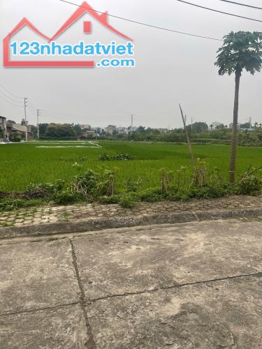 Cần Bán Đất Đấu Giá Thơm DT66M2 Chỉ Giá 4.2tỷ  Cách Đường QL6 Chỉ 150m Biên Giang Hà Đông - 4