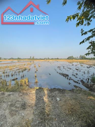 ĐẤT ĐẸP - GIÁ TỐT - Chính chủ bán nhanh đất ruộng tại Cầu Bà Vại, Xã Mỹ Tân, Tp Cao Lãnh, - 2