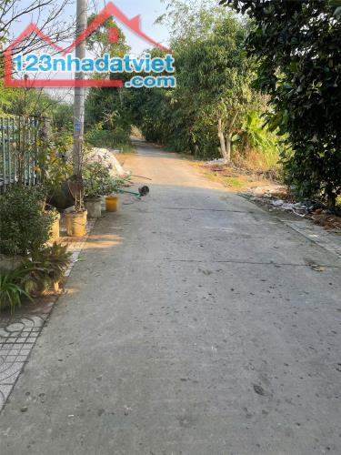 ĐẤT ĐẸP - GIÁ TỐT - Chính chủ bán nhanh đất ruộng tại Cầu Bà Vại, Xã Mỹ Tân, Tp Cao Lãnh, - 4