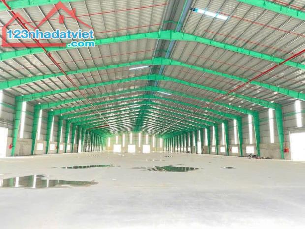 CHO THUÊ HOẶC BÁN KHI XƯỞNG BÌNH PHƯỚC 81.000m2 - 1