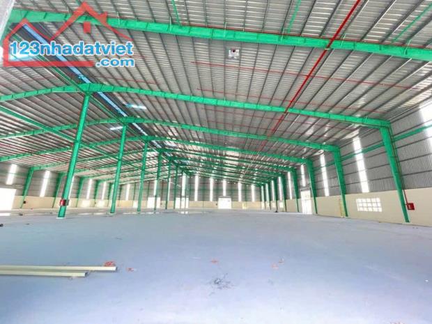 CHO THUÊ HOẶC BÁN KHI XƯỞNG BÌNH PHƯỚC 81.000m2 - 2