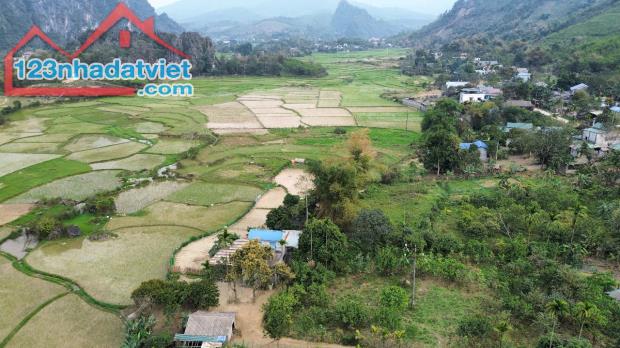 Cao Sơn, Lương Sơn, Hòa Bình - Giá chỉ hơn 1 triệu/m² 1400m 300m thổ cư view cánh đồng - 1