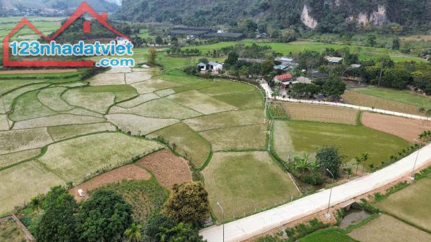 Cao Sơn, Lương Sơn, Hòa Bình - Giá chỉ hơn 1 triệu/m² 1400m 300m thổ cư view cánh đồng - 2