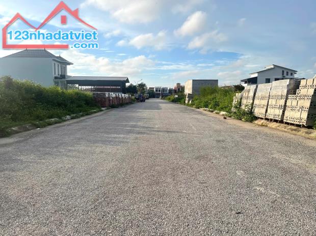 Chuyển nhượng lô đất 179m2 ngang 6m CC Thống Nhất Minh Tân Kiến Thụy Hải Phòng - 2
