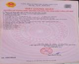 EM CẦN THANH KHOẢN NHANH ĐẤT ĐẸP GIÁ RẺ NHẤT TẠI YÊN TRUNG SỔ HỒNG THƠM PHỨC