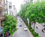 Chính chủ bán nhà Đường Láng, Đống Đa, 35m2, 7 tầng Thang máy mới cứng, 9 tỷ