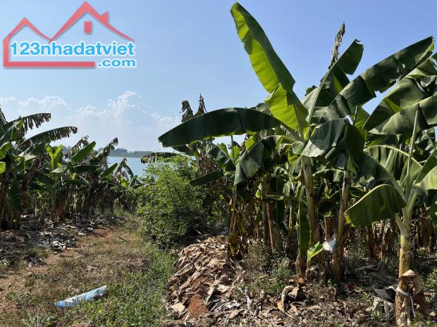 🌿 SIÊU PHẨM VIEW HỒ TRỊ AN - ĐẦU TƯ SINH LỜI, NGHỈ DƯỠNG TUYỆT VỜI! 🌿 - 2