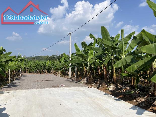 🌿 SIÊU PHẨM VIEW HỒ TRỊ AN - ĐẦU TƯ SINH LỜI, NGHỈ DƯỠNG TUYỆT VỜI! 🌿 - 5