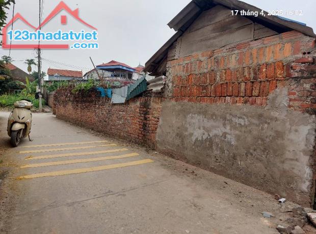 Hai thửa đất, 100m2, mt6m, 2.6 tỷ, 7 chỗ, thông, Thanh Trí, Sóc Sơn. - 2