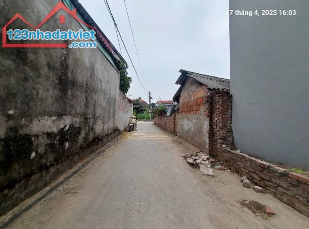 Hai thửa đất, 100m2, mt6m, 2.6 tỷ, 7 chỗ, thông, Thanh Trí, Sóc Sơn. - 4