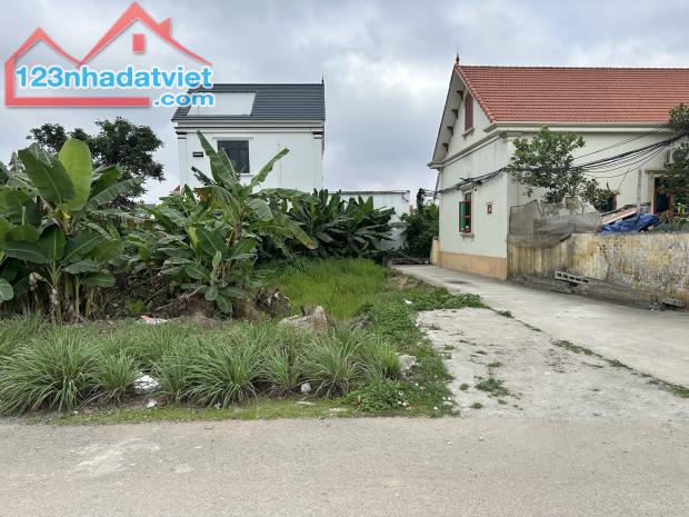 Bán lô góc mặt đường Chân Kim, Tân Thành, Dương Kinh, Hải Phòng  - TÂN THÀNH - điểm nóng - 3