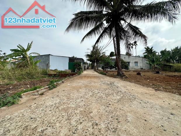 Đất 2 mặt tiền đường số 13B Đạt Lý - 20 x 22.3m (440m2) - 3.480 tỷ - 1