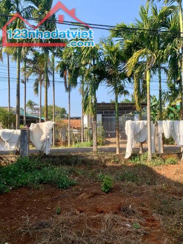 Đất mặt tiền đường nhựa 4A Đạt Lý - 9.3 x 34m - 2.5 tỷ