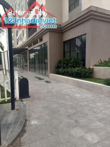 Bán gấp shophouse tòa D