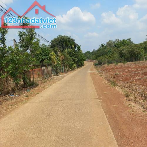 Đất đẹp – Sổ đỏ riêng – Thổ cư sẵn – Giá cực tốt đầu tư Tại xã Ea Nuôl, huyện Buôn Đôn, - 3