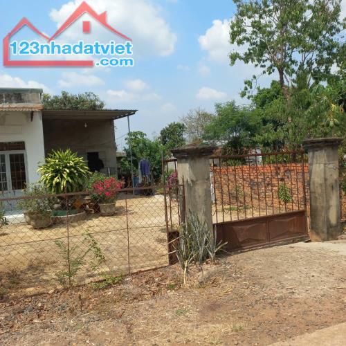 Đất đẹp – Sổ đỏ riêng – Thổ cư sẵn – Giá cực tốt đầu tư Tại xã Ea Nuôl, huyện Buôn Đôn, - 4