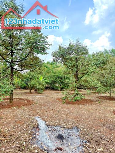 ĐẤT VƯỜN CÓ SẴN 300M2 THỔ CƯ - SẴN NHÀ MÁI THÁI – MẶT TIỀN ĐƯỜNG 770B - NGAY NÚT GIAO CAO - 2