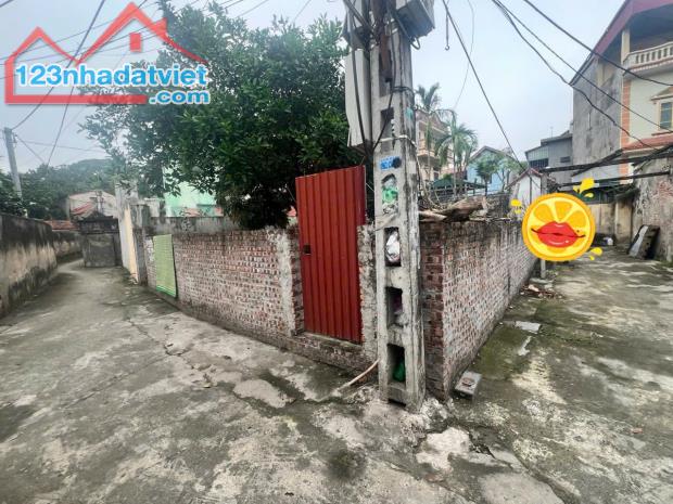 Bán đất  68,4 m2 Song Khê, Tam Hưng, Thanh Oai - giá chỉ 3,3 TỶ - 2