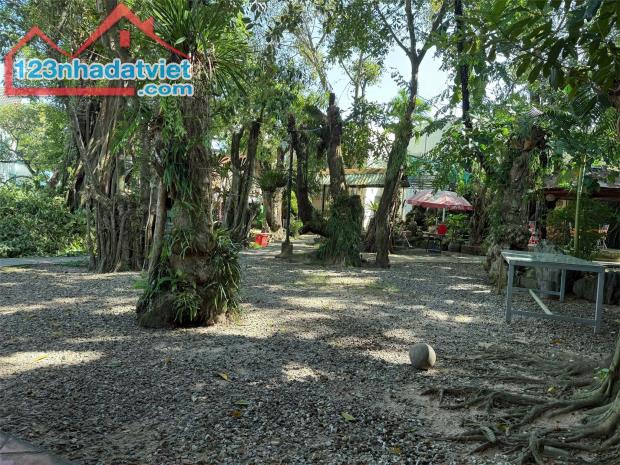 Bán Đất 1100m² Mặt Tiền Nguyễn Chí Thanh – Vườn Cổ Thụ, Dương Đông - 1