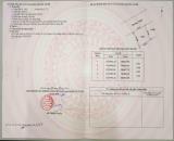 Chỉ 1 tỷ 99x – Đất đẹp Tân Phú Trung, gần Metro số 2, sổ riêng từng nền 🏡