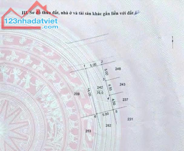 Bán đất Đồng Mai đấu giá Văn Chỉ, Phân Lô vỉa hè, Giá Đầu Tư - 3