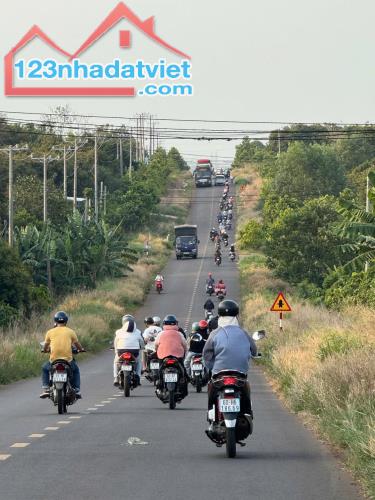 Kẹt tiền bán gấp vườn cây ăn trái 1000m2 cách Long Khánh chỉ 500m - gần TPHCM chỉ 50p di c