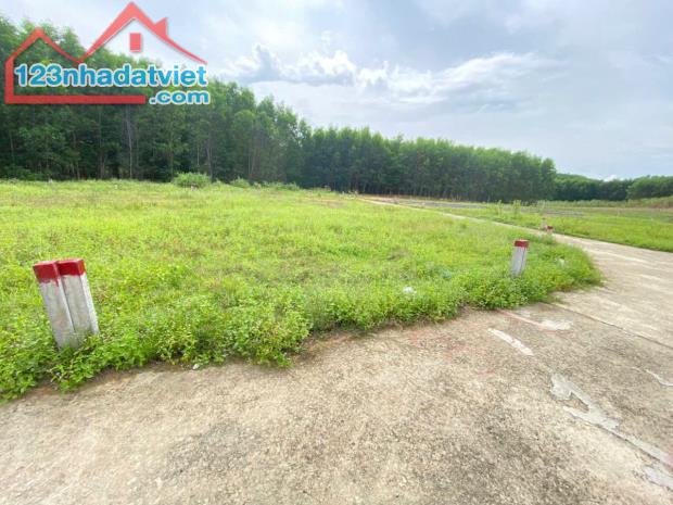 Bán lô đất Diên tân 117 m2 - DIÊN KHÁNH - KHÁNH HÒA - Giá 550 tr - 1