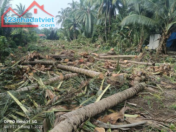ĐẤT ĐẸP - ĐẦU TƯ SINH LỜI - Cần Bán Đất Tại Quốc lộ 60 cũ, Thành thới B, Mỏ cày Nam, Bến - 3