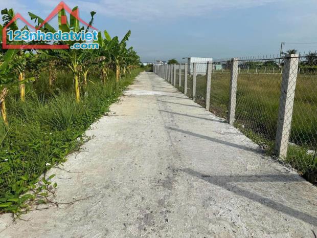 1,3công đất tại ấp 1,xã Vĩnh Công,Châu Thành,Long An - 1