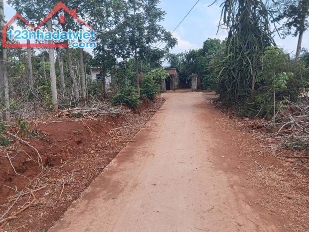 LỰA CHỌN ĐÚNG ĐẮN – CÓ THỔ CƯ,GIÁ RẺ BẤT NGỜ. QL 29 XÃ EA DRONG, TX BUÔN HỒ, ĐĂK LĂK - 1