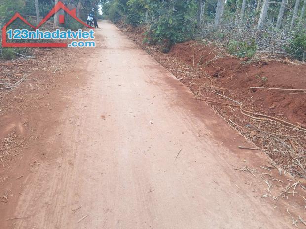 LỰA CHỌN ĐÚNG ĐẮN – CÓ THỔ CƯ,GIÁ RẺ BẤT NGỜ. QL 29 XÃ EA DRONG, TX BUÔN HỒ, ĐĂK LĂK - 2