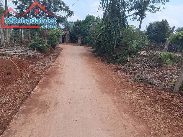 LỰA CHỌN ĐÚNG ĐẮN – CÓ THỔ CƯ,GIÁ RẺ BẤT NGỜ. QL 29 XÃ EA DRONG, TX BUÔN HỒ, ĐĂK LĂK - 3