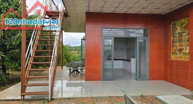 TÔI ĐANG CẦN BÁN GẤP LÔ ĐẤT VƯỜN HIỆN CÓ 300 CÂY SÀU RIÊNG NHÀ TRÊN ĐẤT ĐIỆN NƯỚC ĐẦY ĐỦ - 2