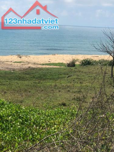 Bán đất đường huyết mạch DT719 xã Tân Thành huyện Hàm Thuận Nam mặt tiền biển kinh doanh đ - 5